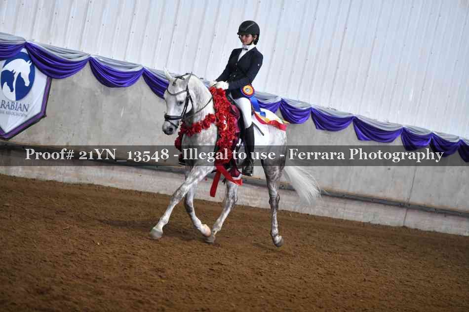Proof 21YN_13548