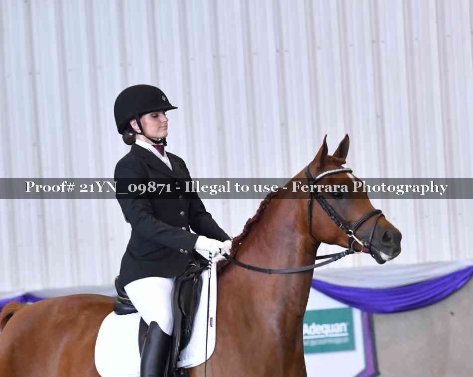 Proof 21YN_09871