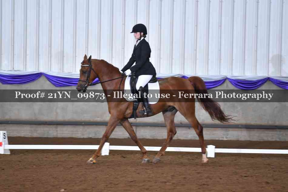 Proof 21YN_09873