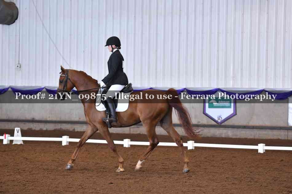 Proof 21YN_09875