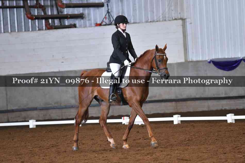 Proof 21YN_09876