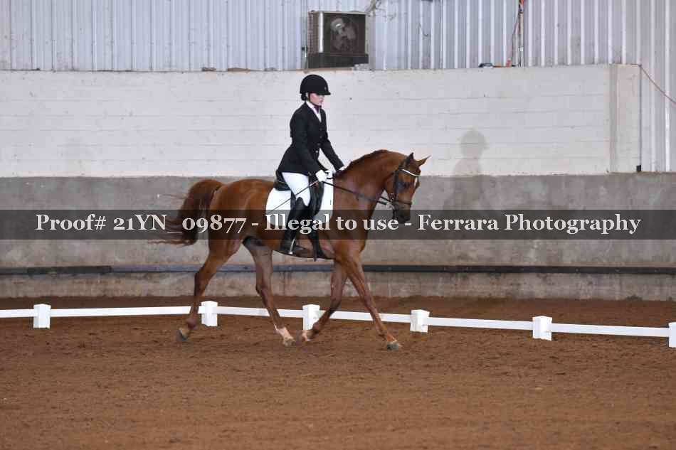 Proof 21YN_09877