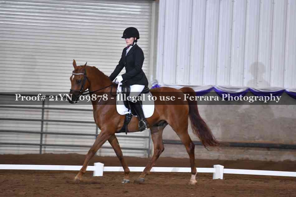 Proof 21YN_09878