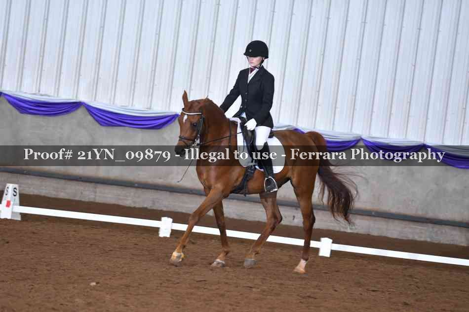 Proof 21YN_09879