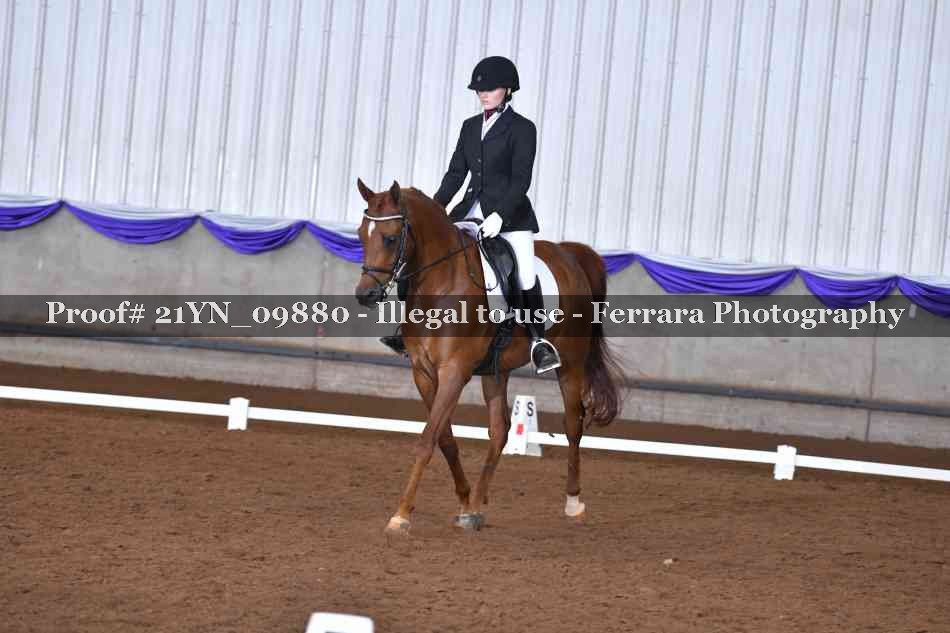 Proof 21YN_09880