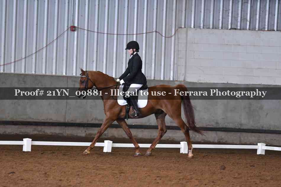 Proof 21YN_09881
