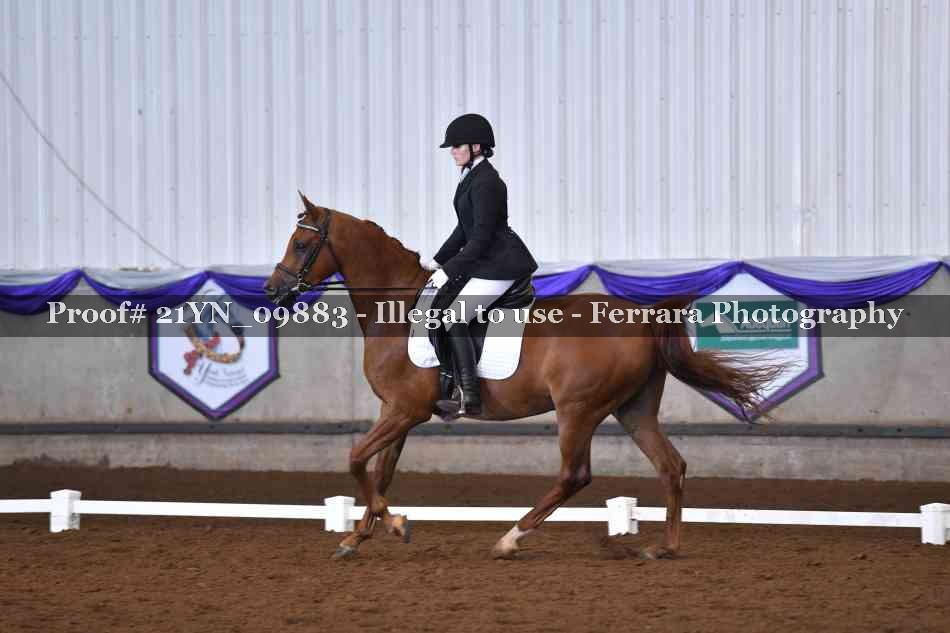 Proof 21YN_09883