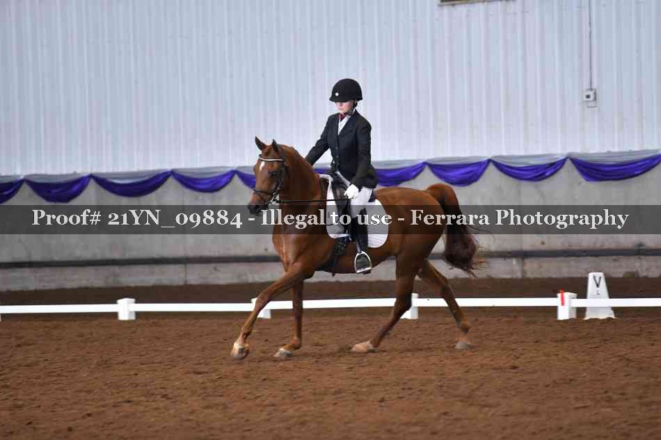 Proof 21YN_09884