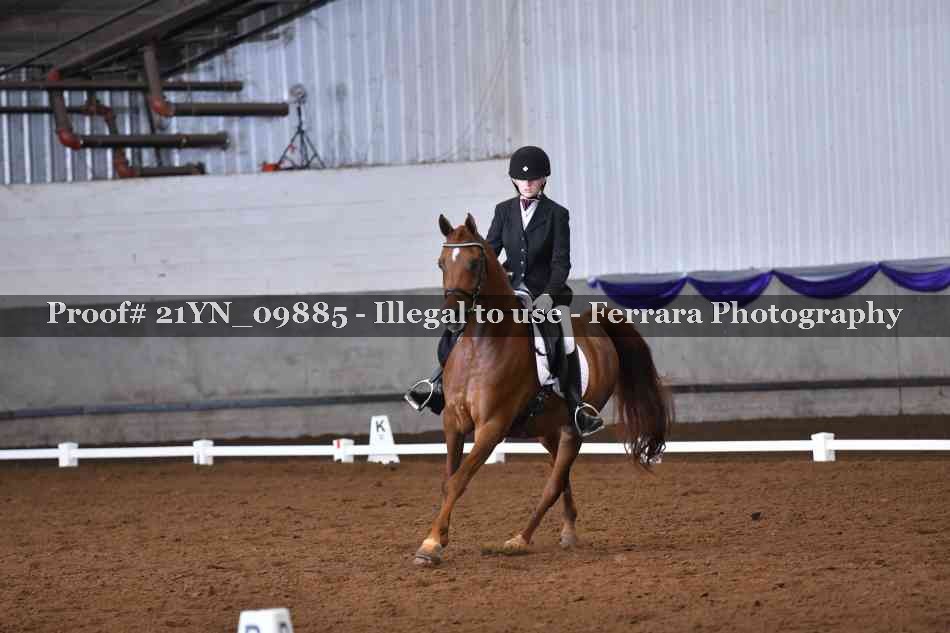 Proof 21YN_09885