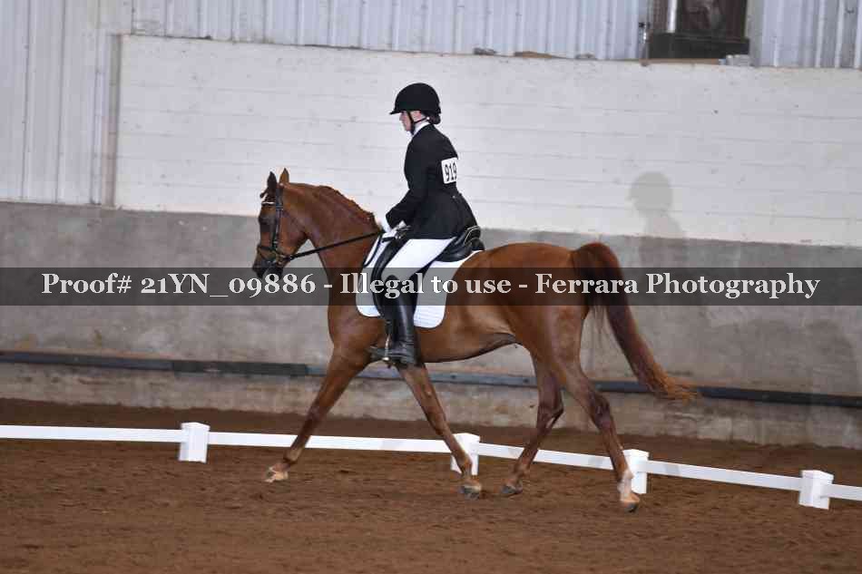Proof 21YN_09886