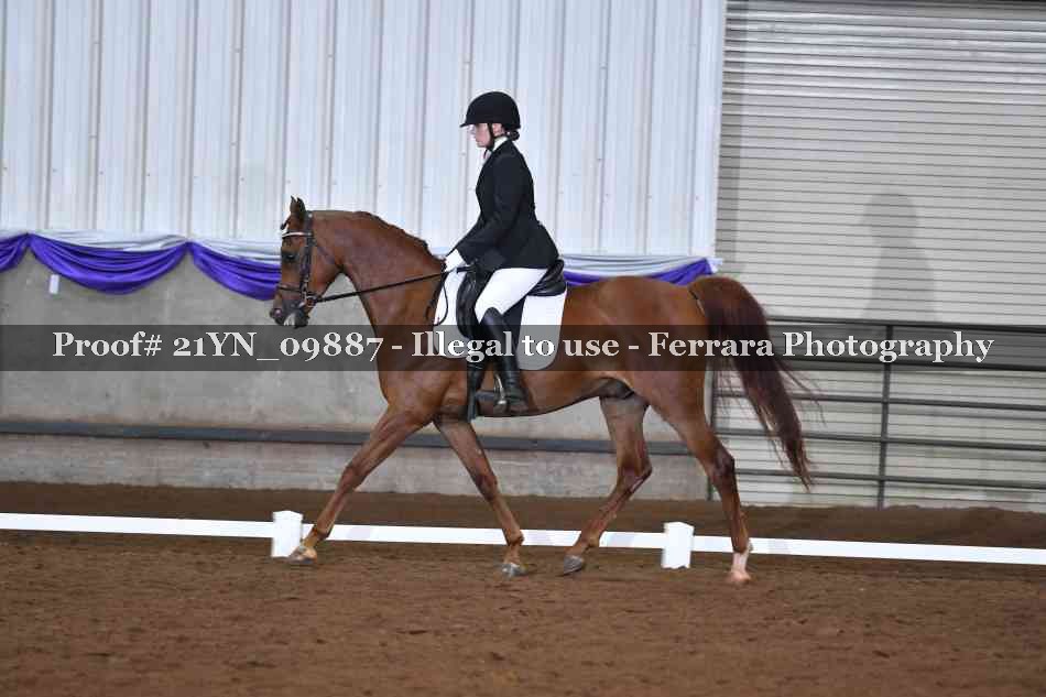 Proof 21YN_09887