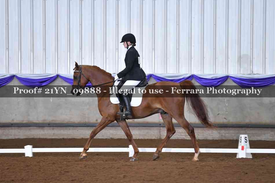 Proof 21YN_09888