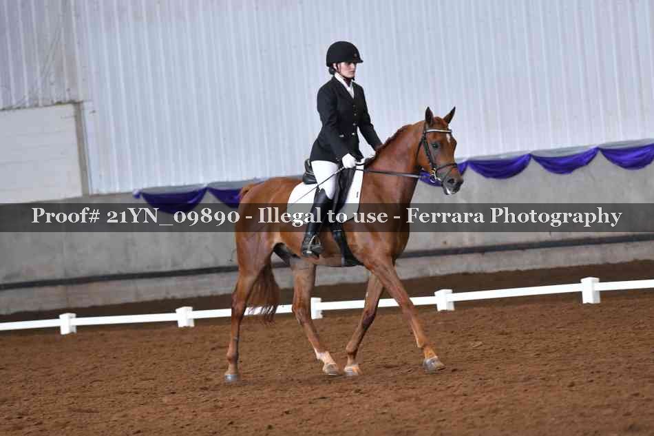 Proof 21YN_09890
