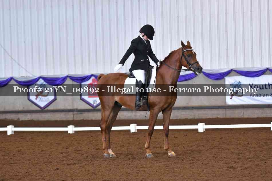 Proof 21YN_09892