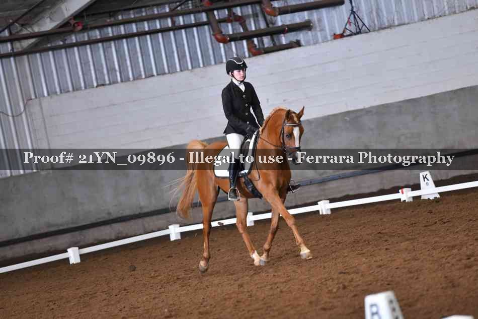 Proof 21YN_09896