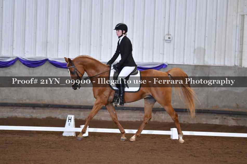 Proof 21YN_09900