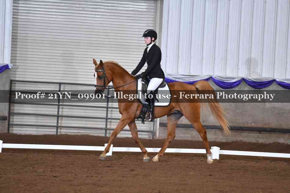 Proof 21YN_09901