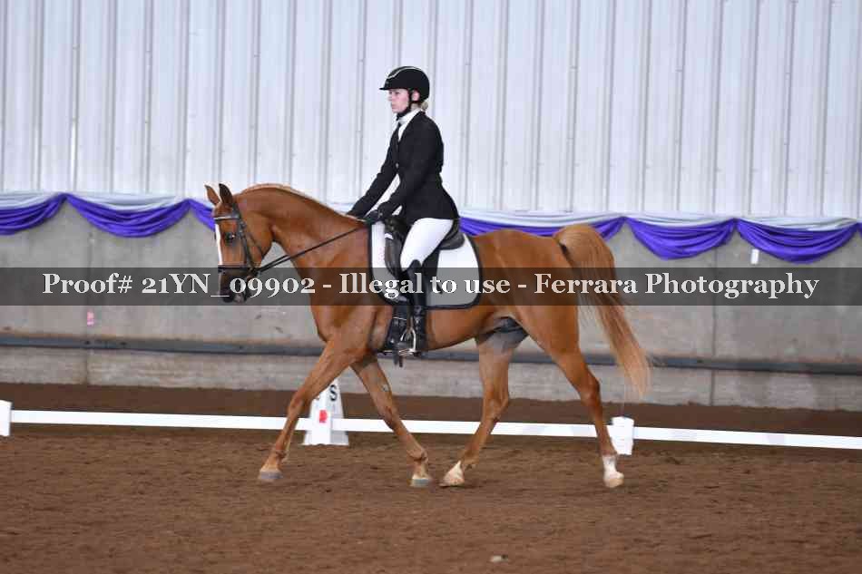Proof 21YN_09902