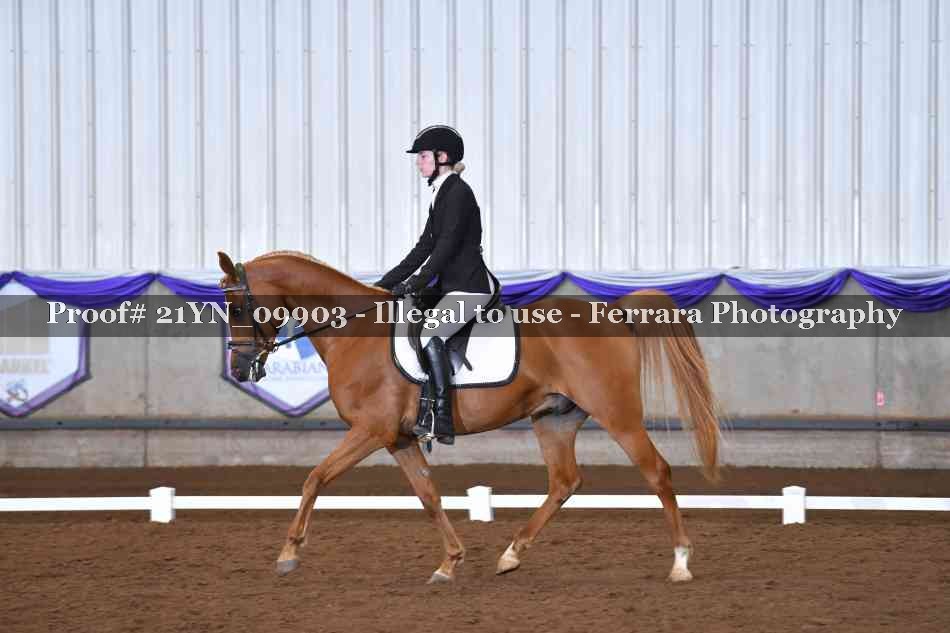 Proof 21YN_09903