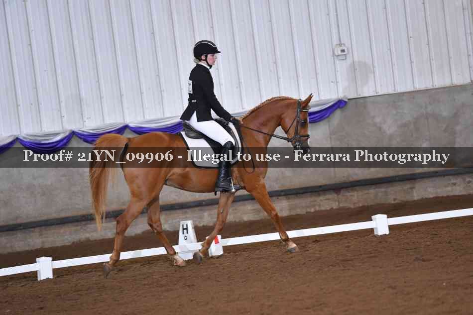 Proof 21YN_09906
