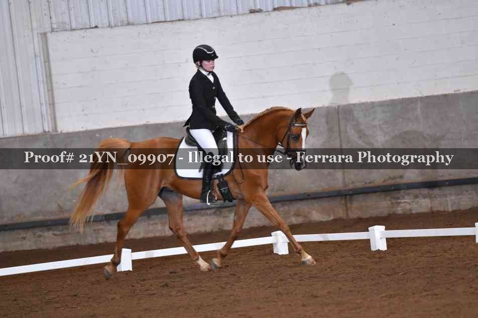 Proof 21YN_09907