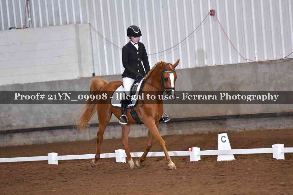 Proof 21YN_09908