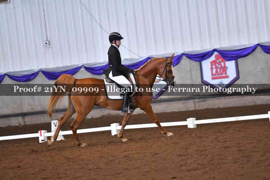 Proof 21YN_09909