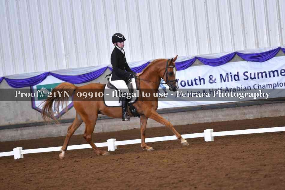 Proof 21YN_09910