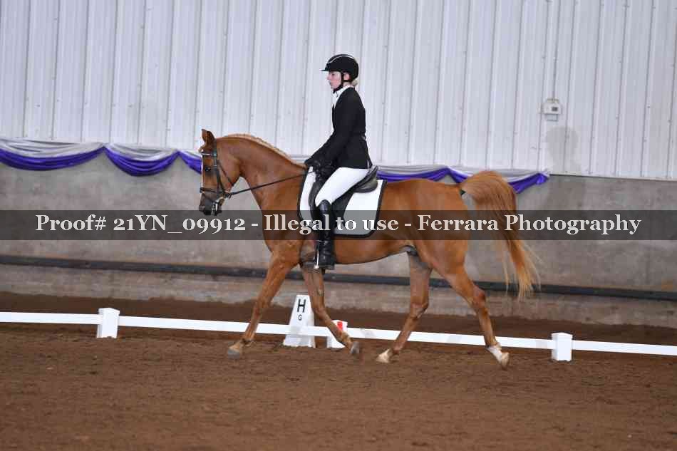 Proof 21YN_09912