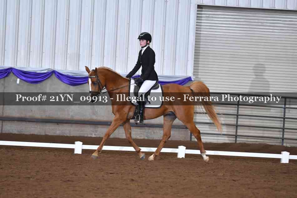 Proof 21YN_09913