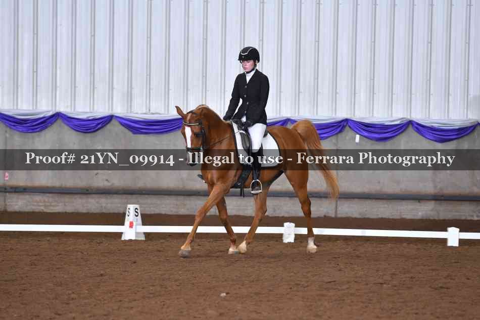 Proof 21YN_09914