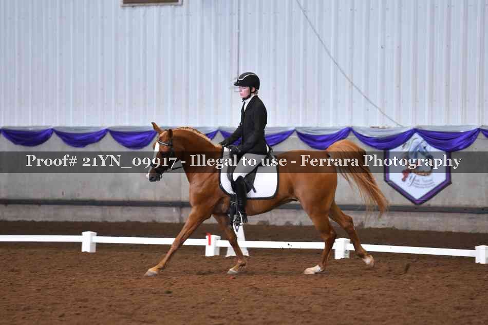 Proof 21YN_09917