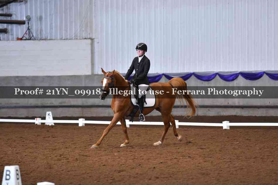 Proof 21YN_09918
