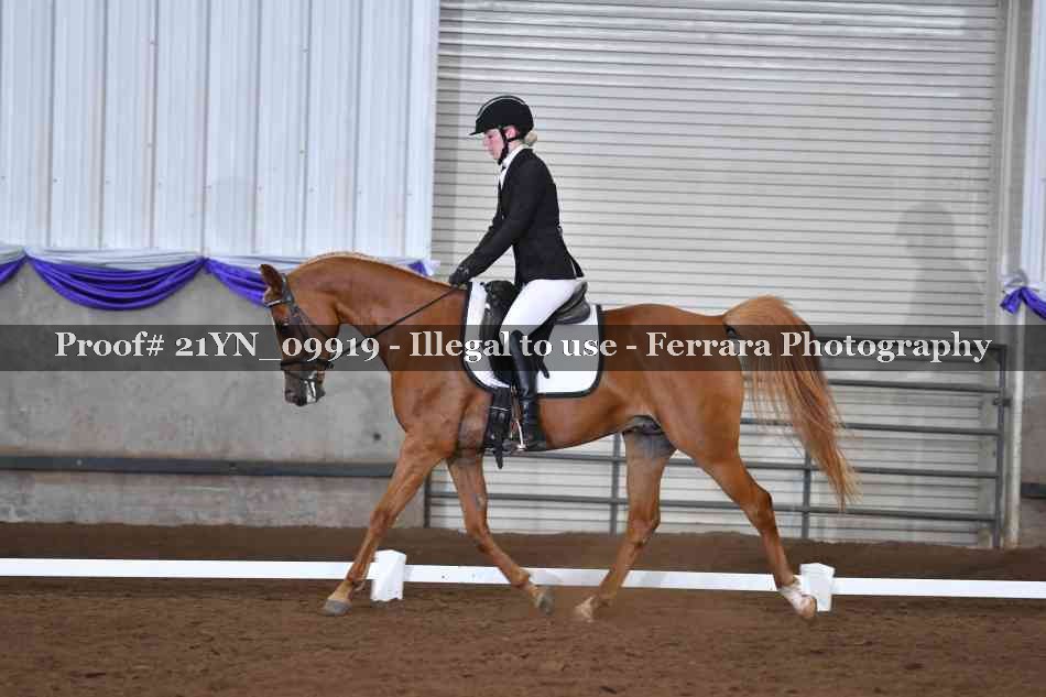 Proof 21YN_09919
