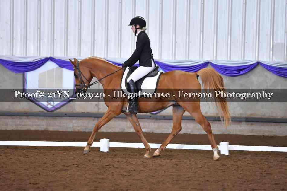 Proof 21YN_09920