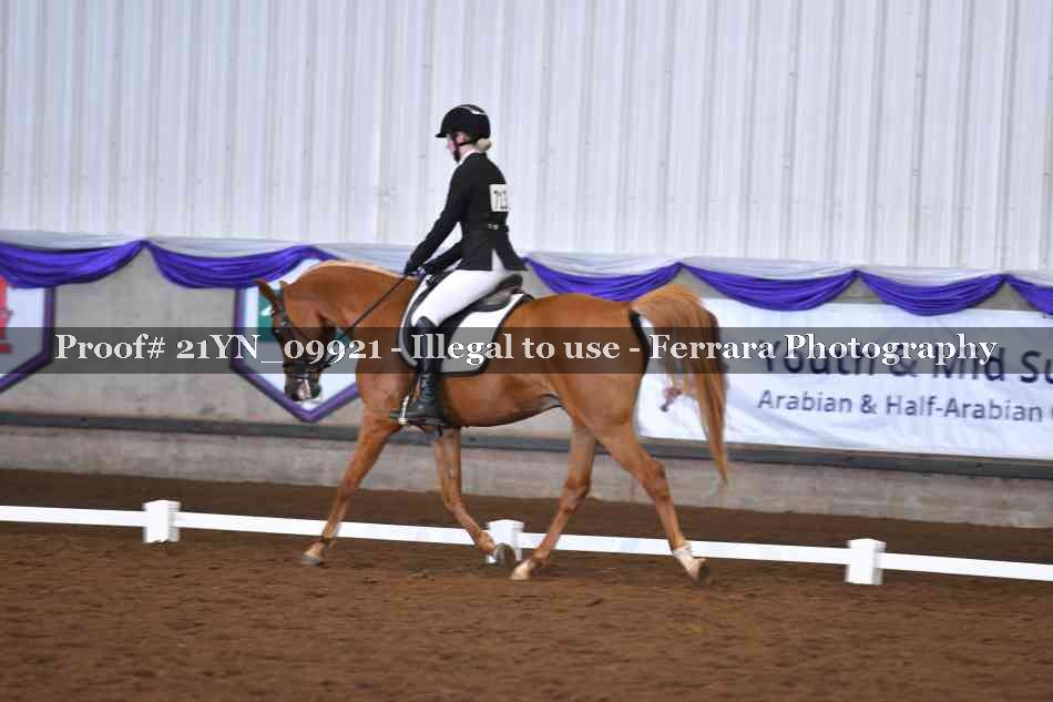 Proof 21YN_09921
