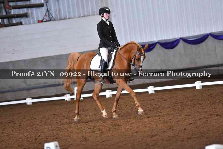 Proof 21YN_09922