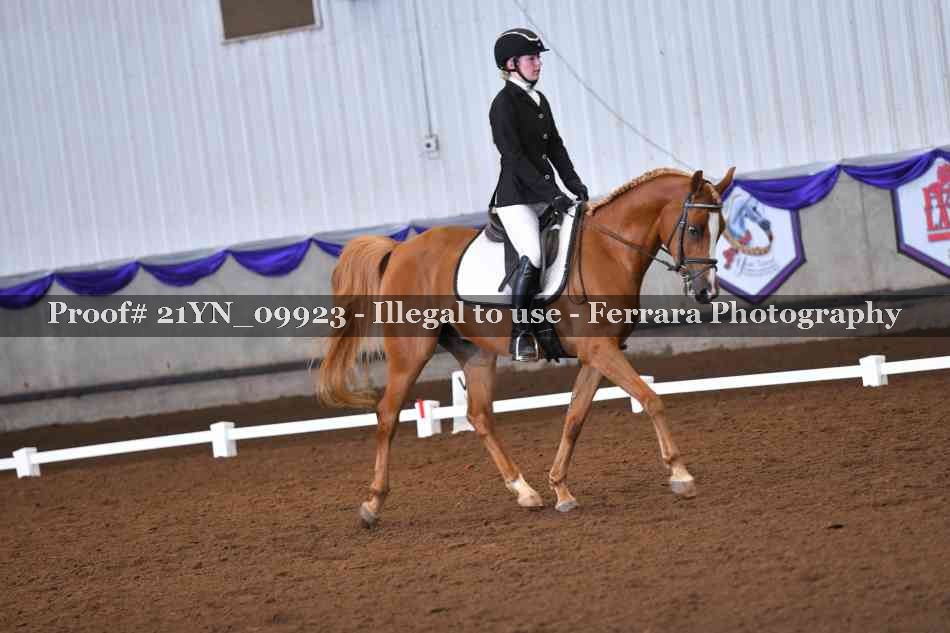 Proof 21YN_09923