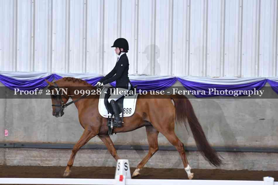 Proof 21YN_09928