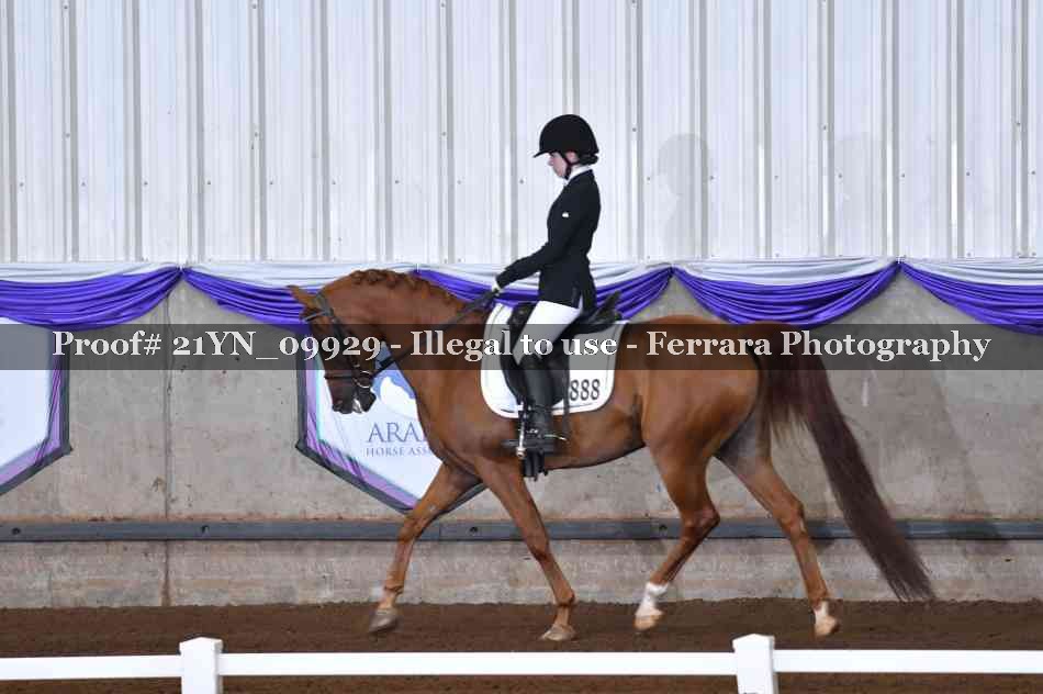 Proof 21YN_09929