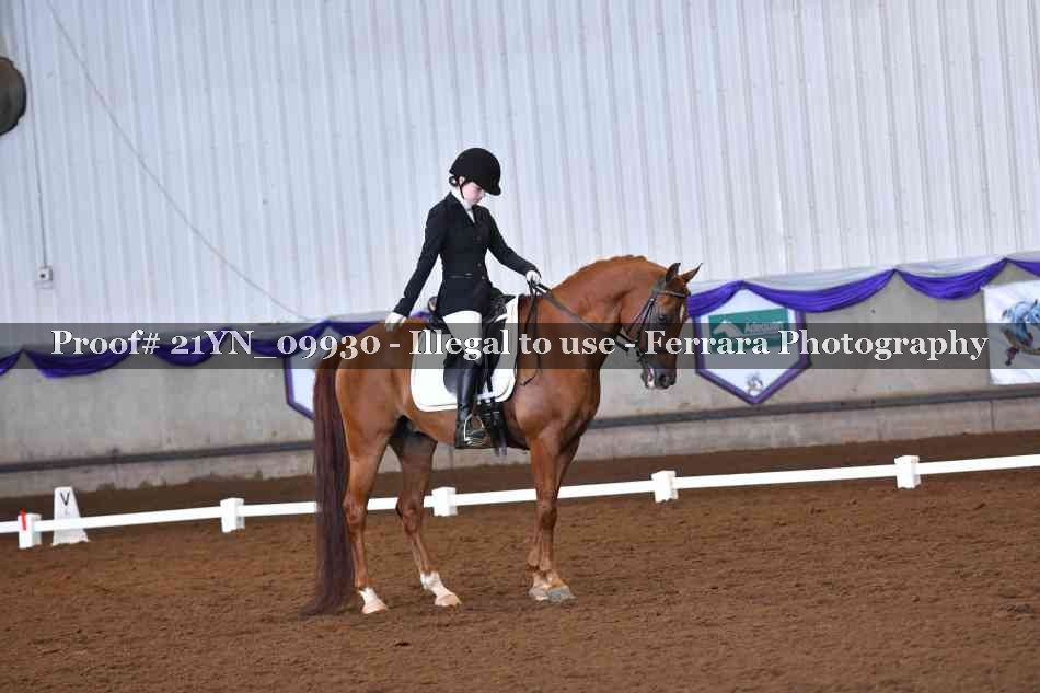 Proof 21YN_09930