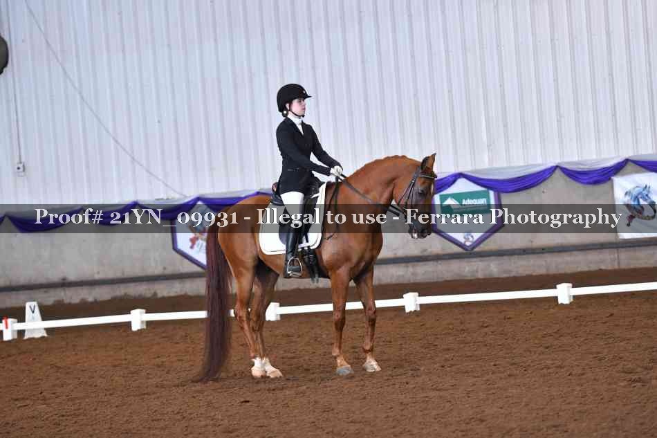 Proof 21YN_09931
