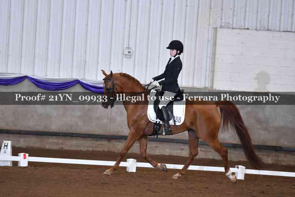 Proof 21YN_09933