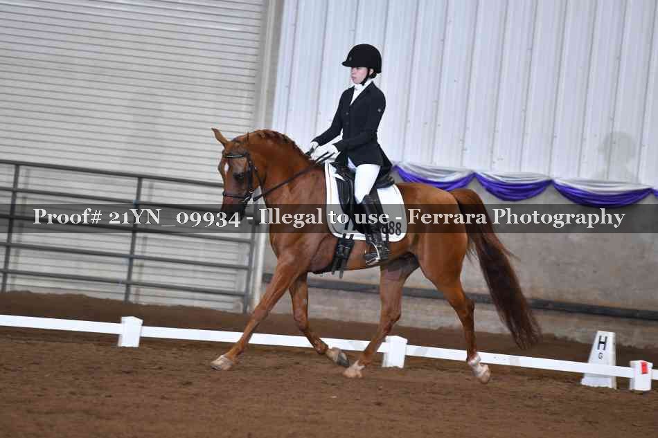 Proof 21YN_09934