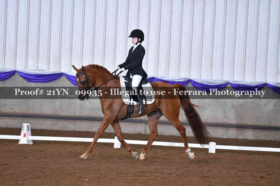 Proof 21YN_09935