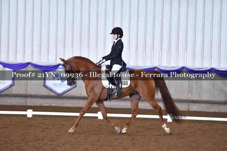 Proof 21YN_09936