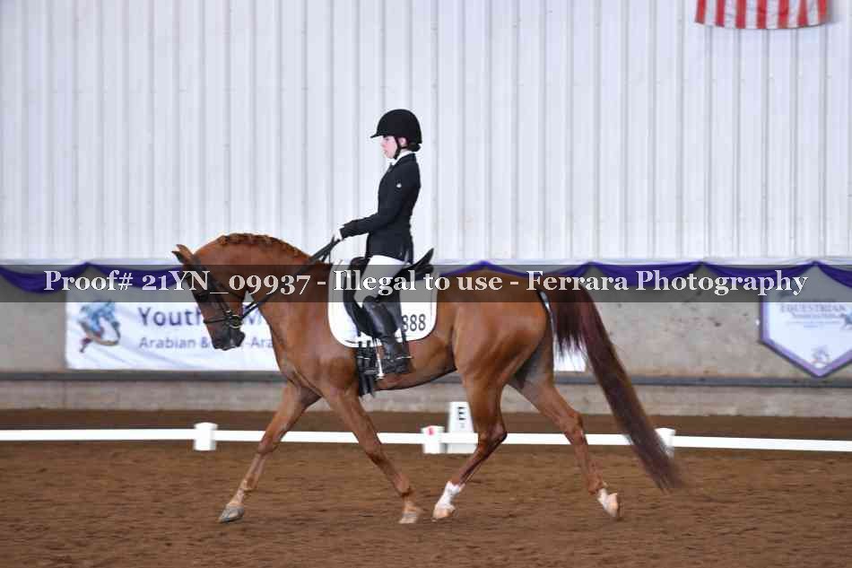 Proof 21YN_09937