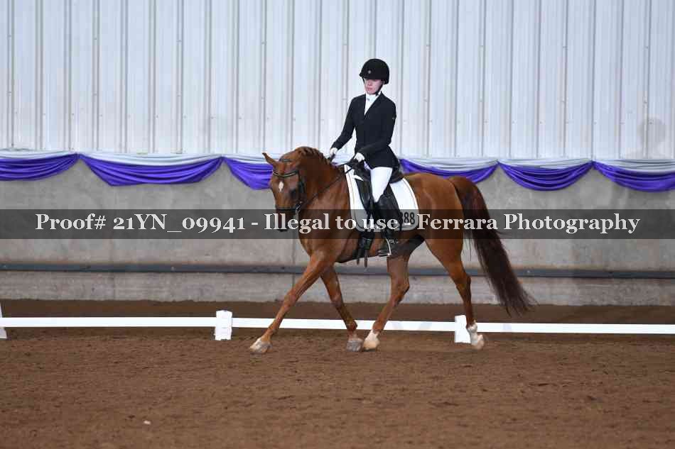 Proof 21YN_09941