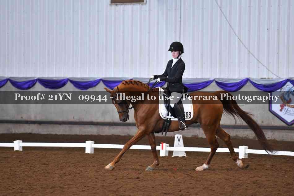 Proof 21YN_09944