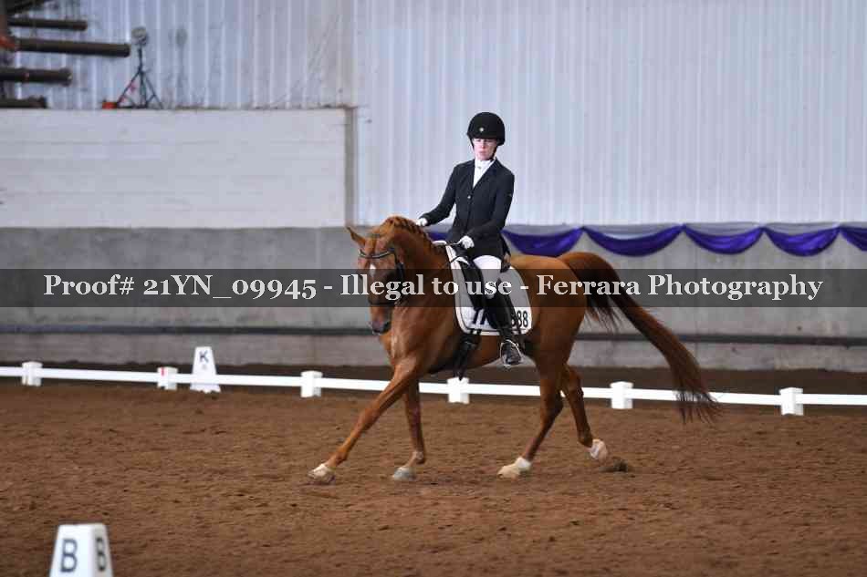 Proof 21YN_09945